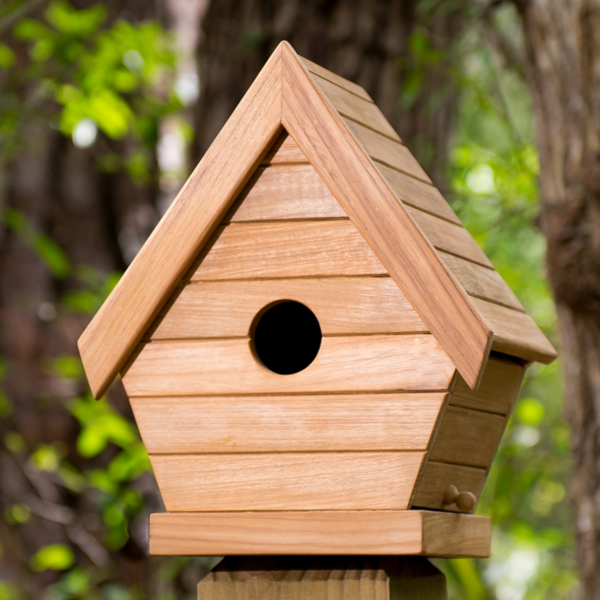 Teak Bird House