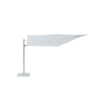 Spectra Umbrella Only